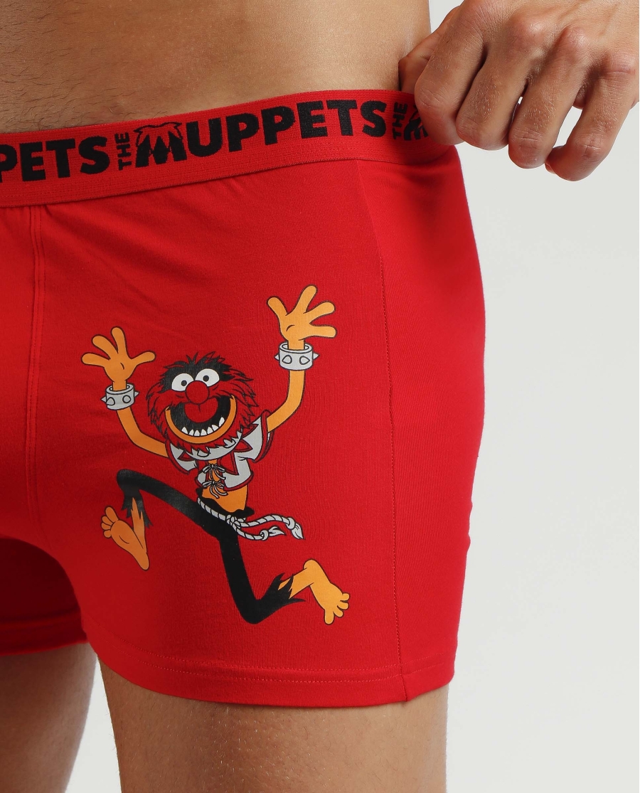 DISNEY Calzoncillo/Bóxer Animal Bote Metal Regalo para Hombre ROJO DISNEY Calzoncillo/Bóxer Animal Bote Metal Regalo para Hombre ROJO