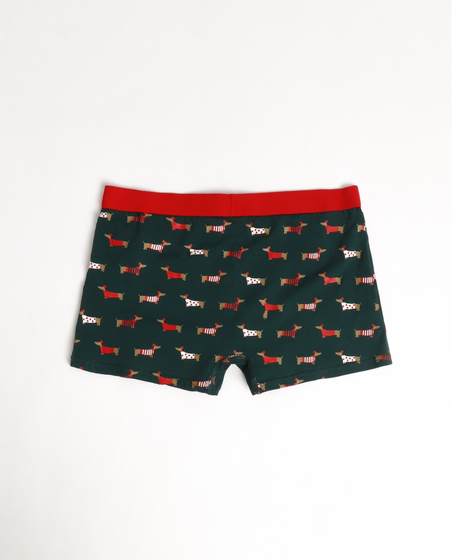 DIVER Calzoncillo/Bóxer Perritos para Hombre, (Caja 12 unidades) VERDE DIVER Calzoncillo/Bóxer Perritos para Hombre, (Caja 12 unidades) VERDE