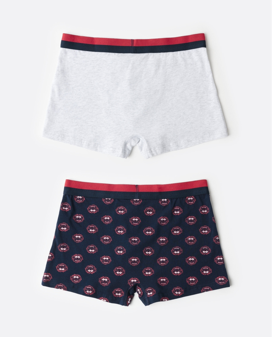 DISNEY MUPPETS Calzoncillo/Boxer Animal para Hombre, (Caja de 2 unidades) PACK FANTASIA DISNEY MUPPETS Calzoncillo/Boxer Animal para Hombre, (Caja de 2 unidades) PACK FANTASIA