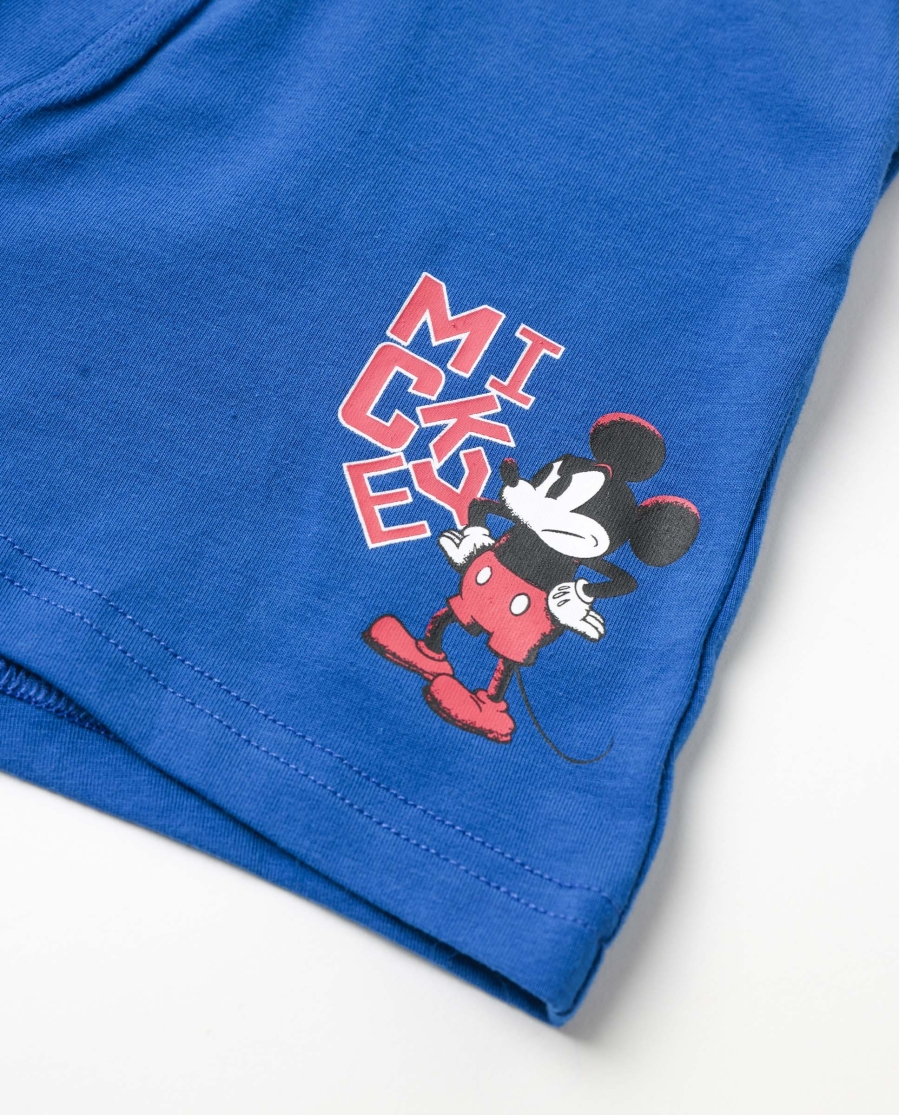 DISNEY Calzoncillo/Boxer Mickey What S Up para Hombre, (Caja de 2 unidades) PACK FANTASIA