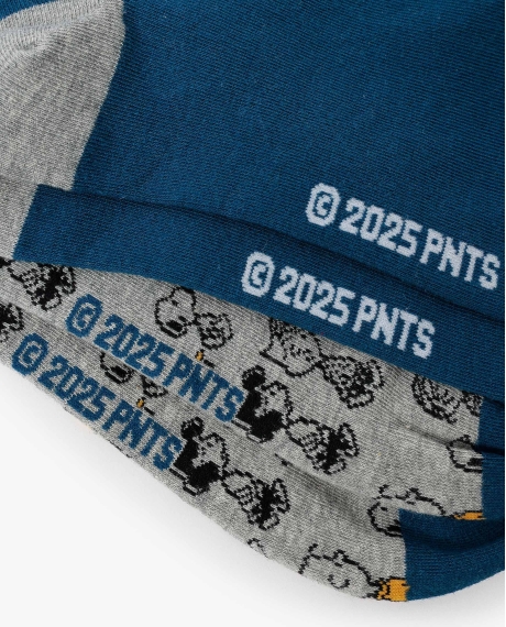PEANUTS Calcetín de Caña Normal Snoopy & Friends para Hombre, (Caja de 6 pares) SURTIDO 2
