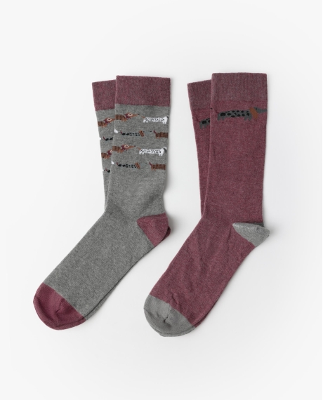 ADMAS Calcetín de Caña Normal Dog Home para Hombre, (Caja de 6 pares) SURTIDO