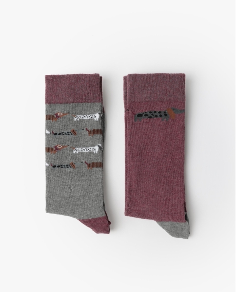 ADMAS Calcetín de Caña Normal Dog Home para Hombre, (Caja de 6 pares) SURTIDO 2