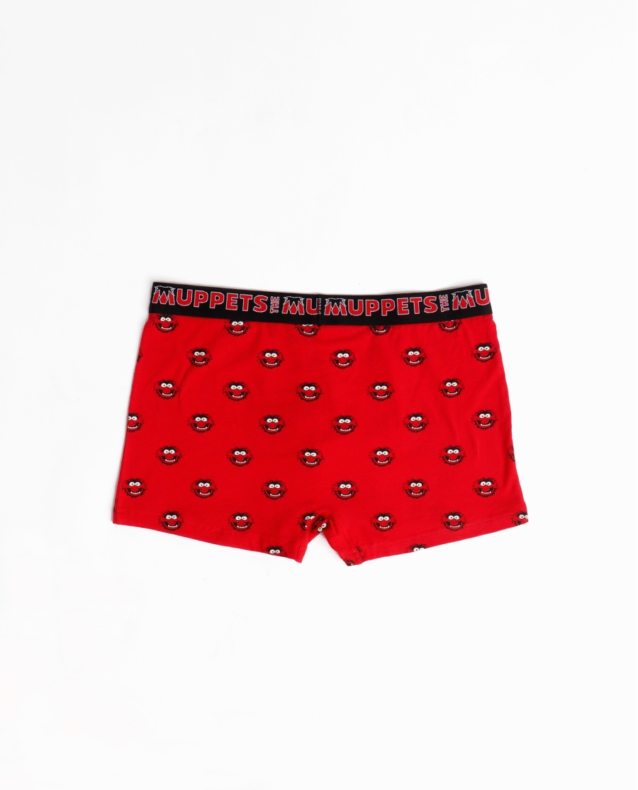 DISNEY Calzoncillo/Bóxer Animal Caja Metal Regalo para Hombre ROJO