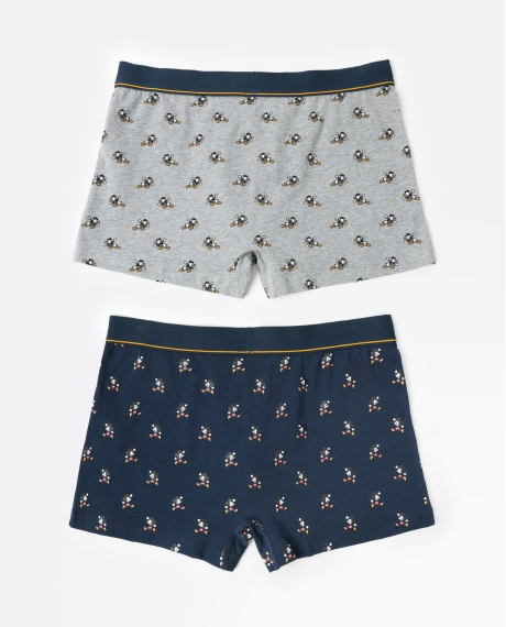 DISNEY Calzoncillo/Boxer Pixel Classic  para Hombre, (Caja de 2 unidades) PACK FANTASIA 2