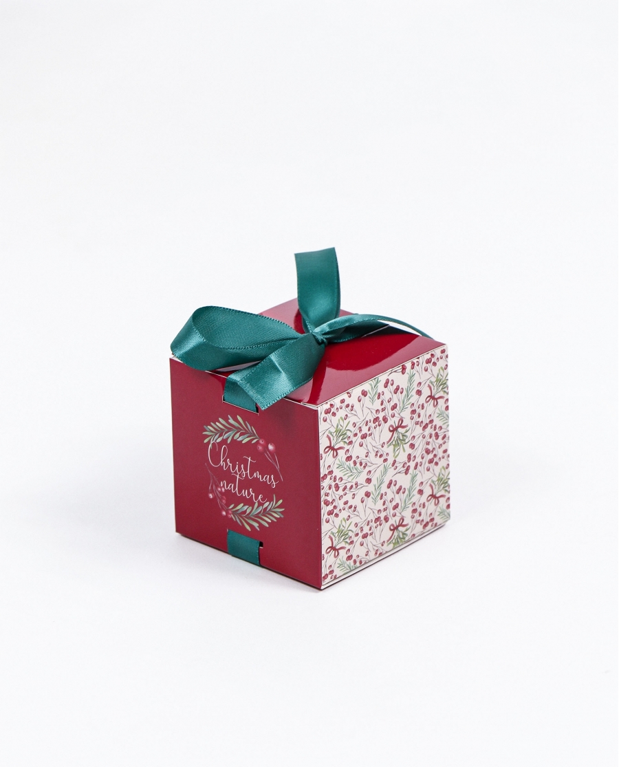 ADMAS Braguita Estampada para Mujer, (Caja de 12 unidades) ROJO RUBÍ