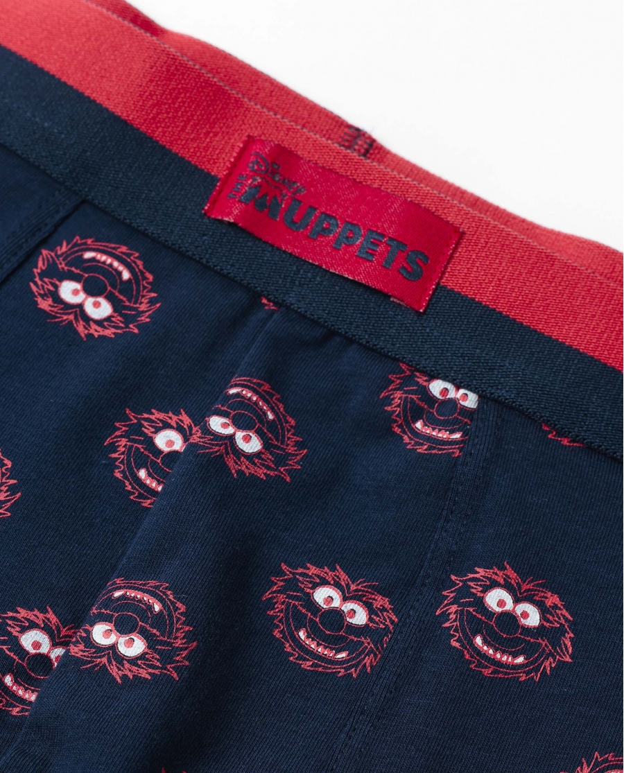 DISNEY MUPPETS Calzoncillo/Boxer Animal para Hombre, (Caja de 2 unidades) PACK FANTASIA