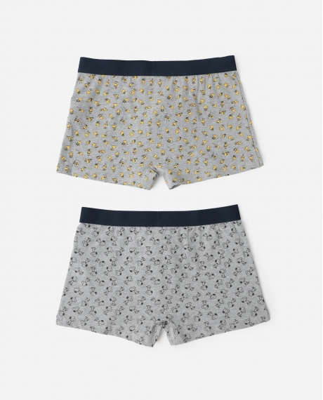 PEANUTS Calzoncillo/Boxer Classic Peanuts para Hombre, (Caja de 2 unidades) PACK FANTASIA 2