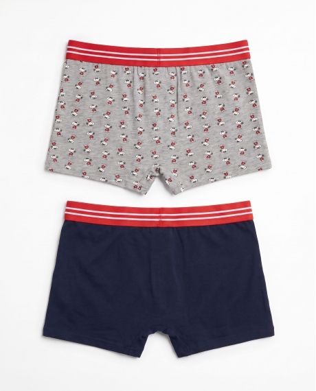 PEANUTS Calzoncillo/Boxer Joe Cool para Hombre, (Caja de 2 unidades) PACK FANTASIA 2