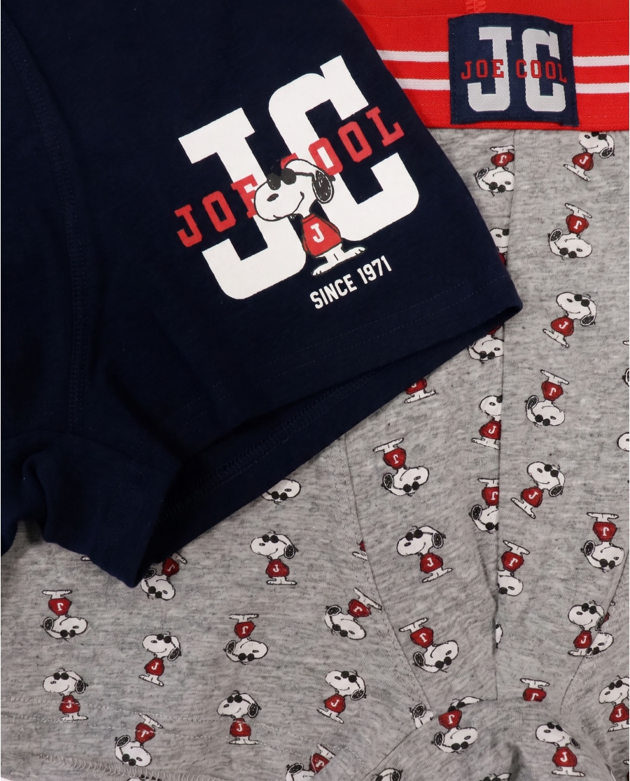 PEANUTS Calzoncillo/Boxer Joe Cool para Hombre, (Caja de 2 unidades) PACK FANTASIA