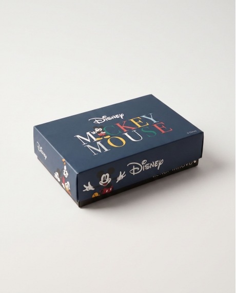 DISNEY Calzoncillo/Boxer Pluto Stay Pawsome para Hombre, (Caja de 2 unidades) PACK FANTASIA 2